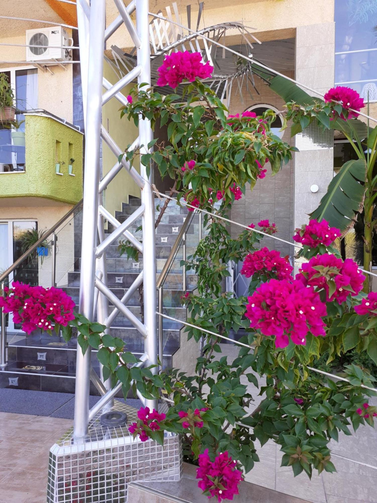 Lilalo Ηotel Paralía Buitenkant foto